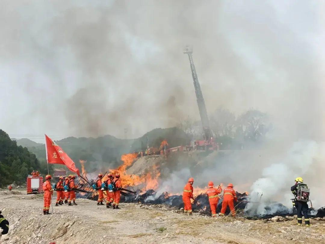 徽縣地震最新消息,徽縣地震最新消息，全面更新與深度解析