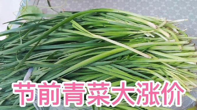 韭菜最新價(jià)格,韭菜最新價(jià)格，市場(chǎng)走勢(shì)與種植前景分析