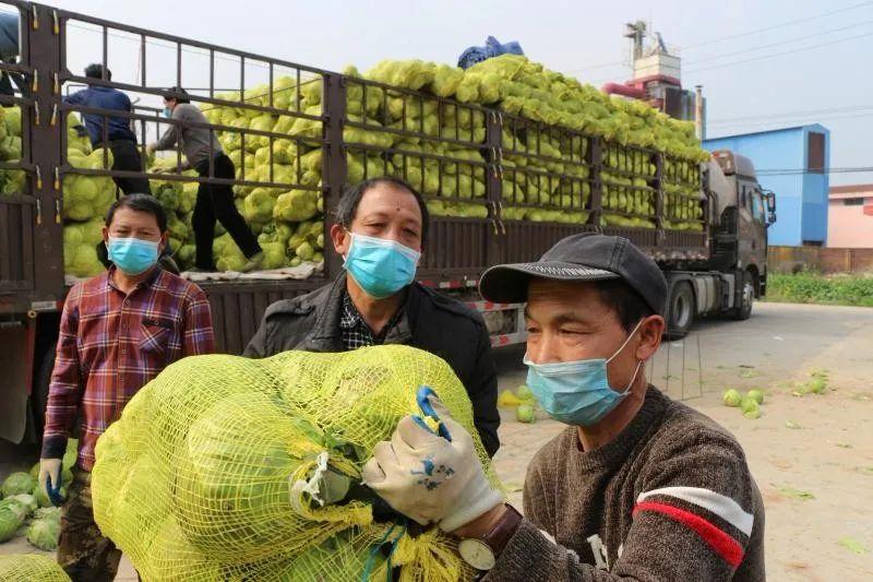 當陽最新司機招聘,當陽最新司機招聘，探索職業(yè)機遇與未來發(fā)展